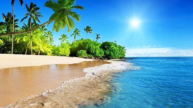 Tropical Paradise background 3