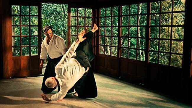 Aikido background 2