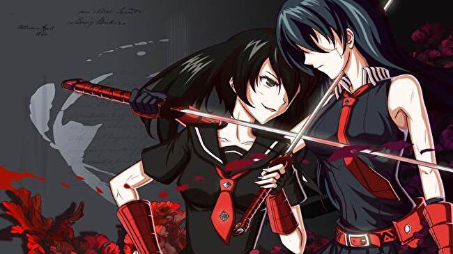 Akame anime girl-Design Desktop Wallpaper Preview