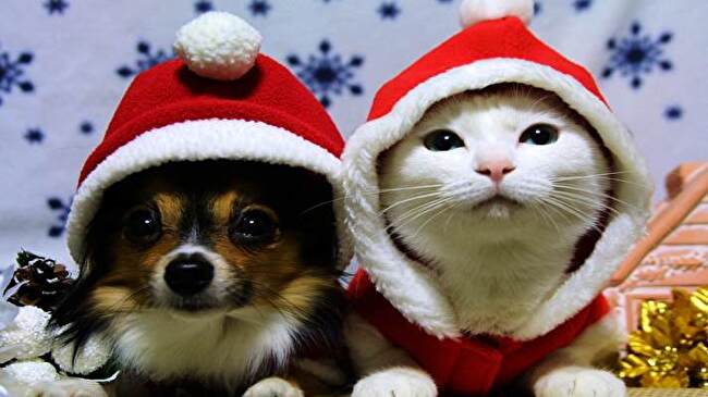 Christmas Cute Animals background 2