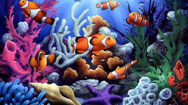 Clownfish background 2