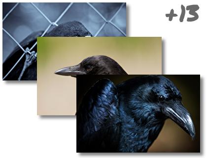 Crow theme pack