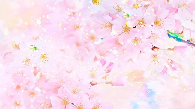 First Day Spring background 3