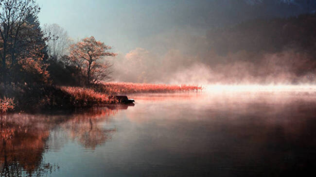 Foggy River background 1