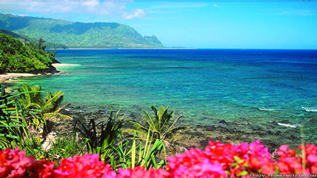 Hawaii background 1