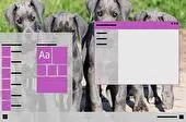 Great Dane Download Light mode