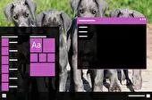 Great Dane Download Dark mode