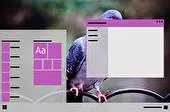 Pigeon Download Light mode