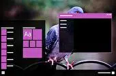 Pigeon Download Dark mode