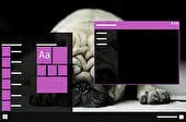 Pug Download Dark mode