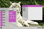 White Tiger Download Light mode
