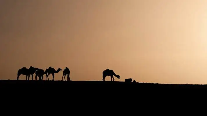 Afryka motyw dla Windows 10 Obraz pokazu slajdów 3