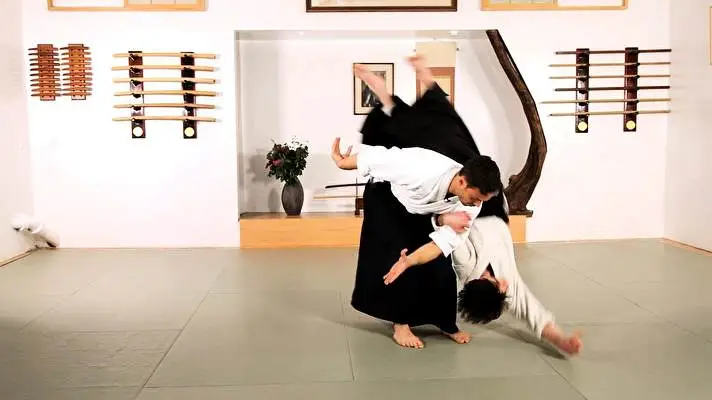 Aikido theme for Windows 10 Slideshow image 4