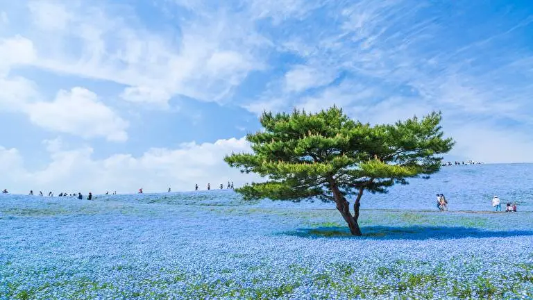 Amazing Places theme for Windows 10 Slideshow image 2