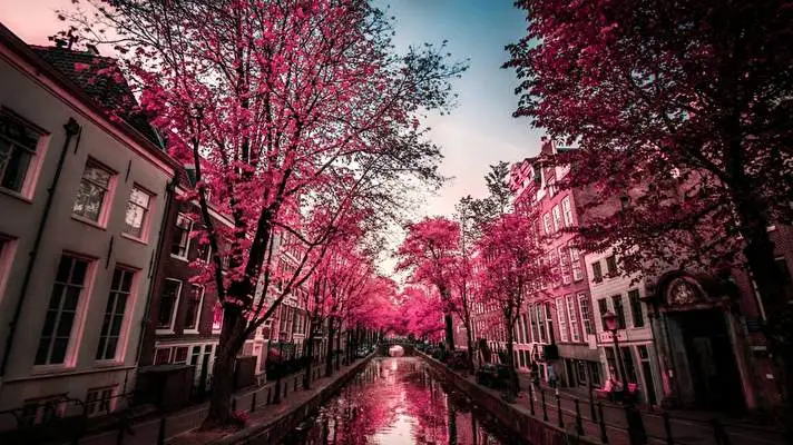 アムステルダム Windows 10用テーマ スライドショー画像 2