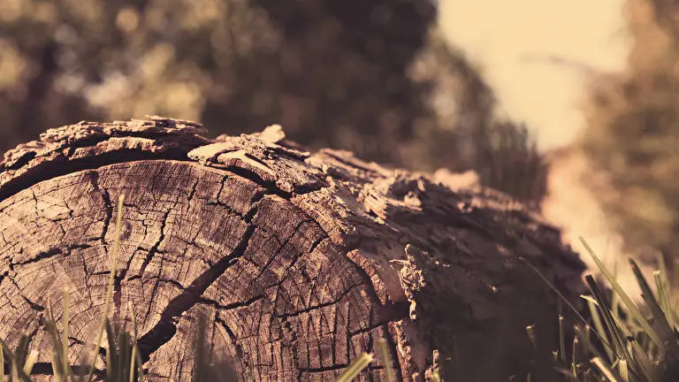 Autumn theme for Windows 10 Slideshow image 5