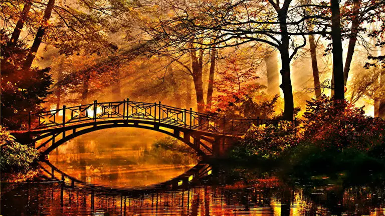 Autumn Leaning In The River theme for Windows 10 Slideshow image 2