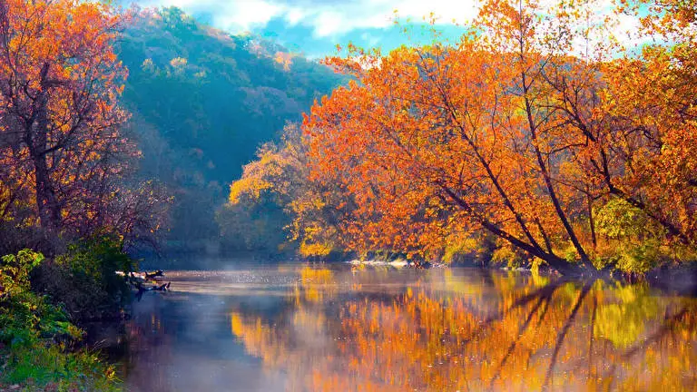 Autumn Leaning In The River theme for Windows 10 Slideshow image 3