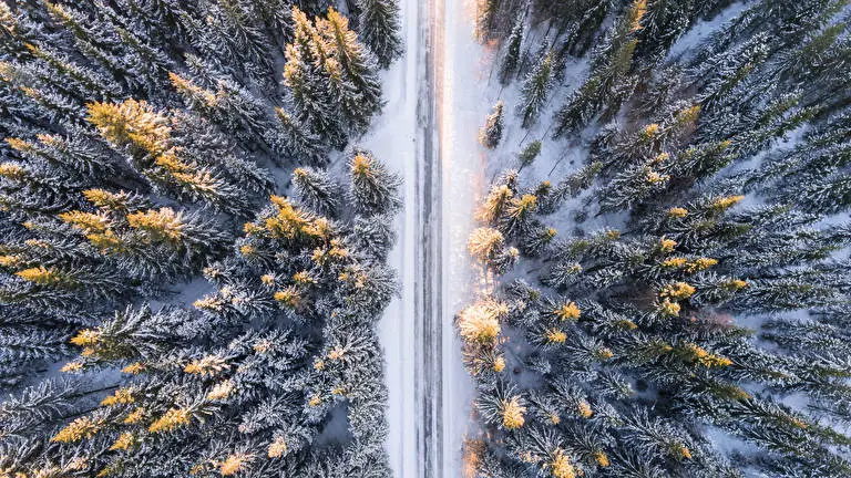 Birds Eye View theme for Windows 10 Slideshow image 1