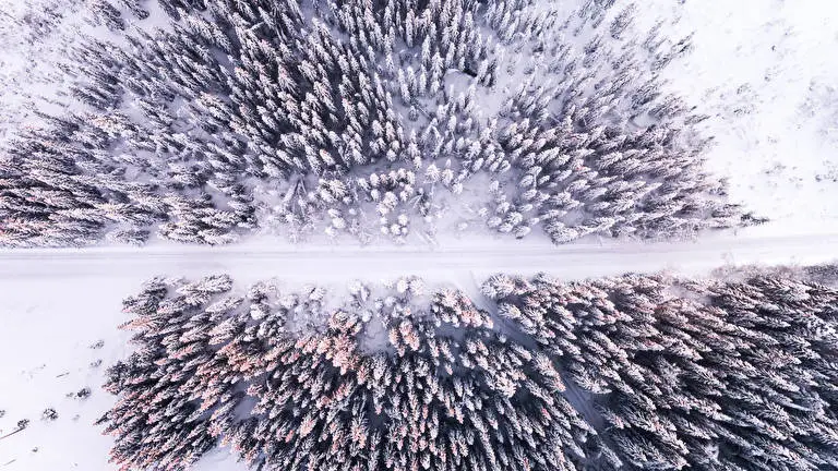 Birds Eye View theme for Windows 10 Slideshow image 3