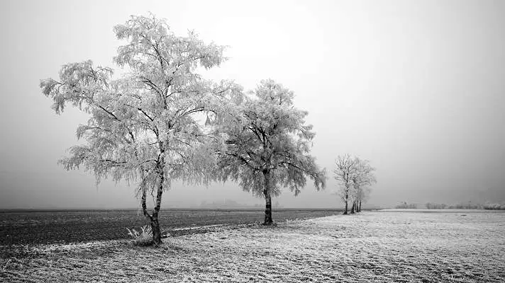 Schwarz und Weiß Thema für Windows 10 Diashow-Bild 4