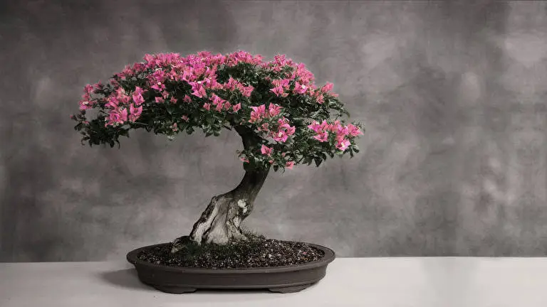 Albero Bonsai tema per Windows 10 Immagine di presentazione 5