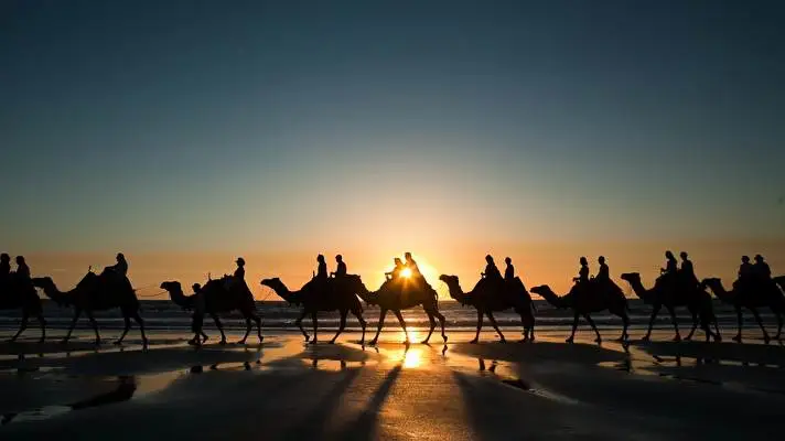 Camel theme for Windows 10 Slideshow image 3