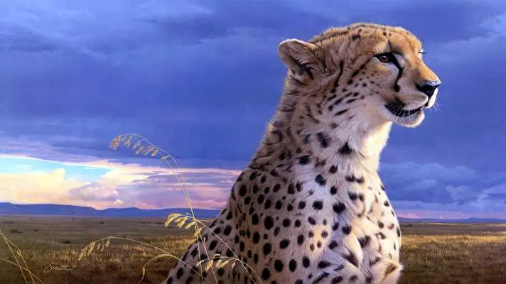 Cheetah theme for Windows 10 Slideshow image 1