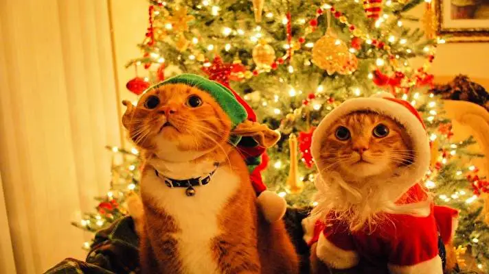 Christmas Cute Animals theme for Windows 10 Slideshow image 1