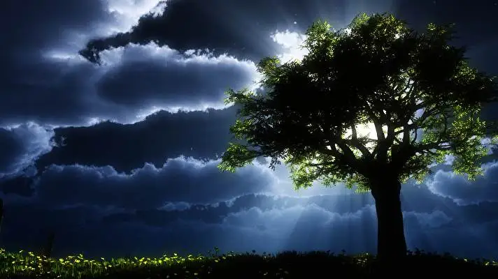 Alberi Scuri tema per Windows 10 Immagine di presentazione 1