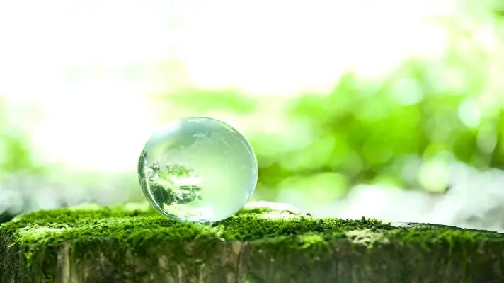 First Day Spring theme for Windows 10 Slideshow image 1