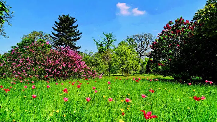 First Day Spring theme for Windows 10 Slideshow image 4