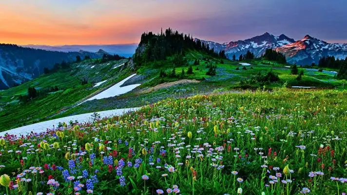 First Day Spring theme for Windows 10 Slideshow image 5