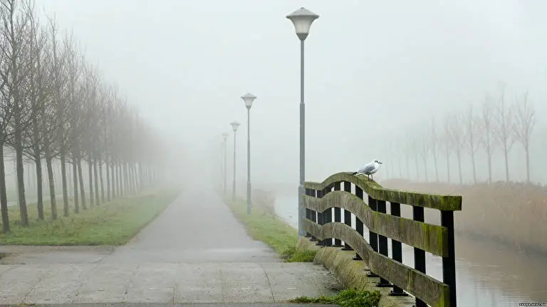 Fog theme for Windows 10 Slideshow image 2