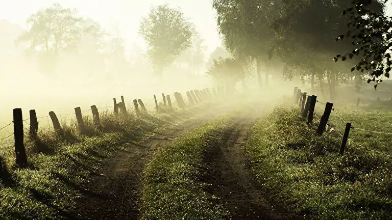 Fog theme for Windows 10 Slideshow image 4