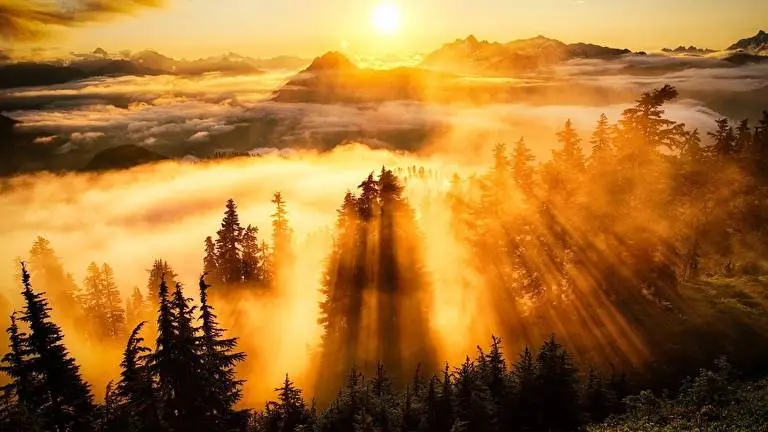 Nebeliger Wald Thema für Windows 10 Diashow-Bild 3