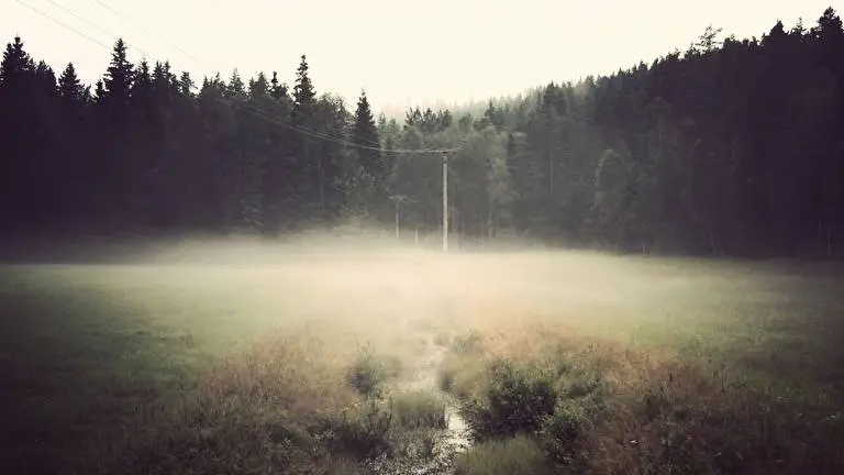 Nebeliger Wald Thema für Windows 10 Diashow-Bild 4