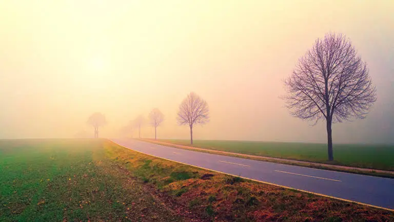 Foggy Roads theme for Windows 10 Slideshow image 2