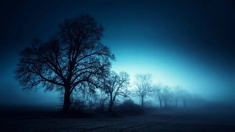 Foggy Roads theme for Windows 10 Slideshow image 3