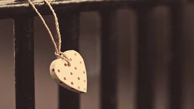 Gift theme for Windows 10 Slideshow image 3