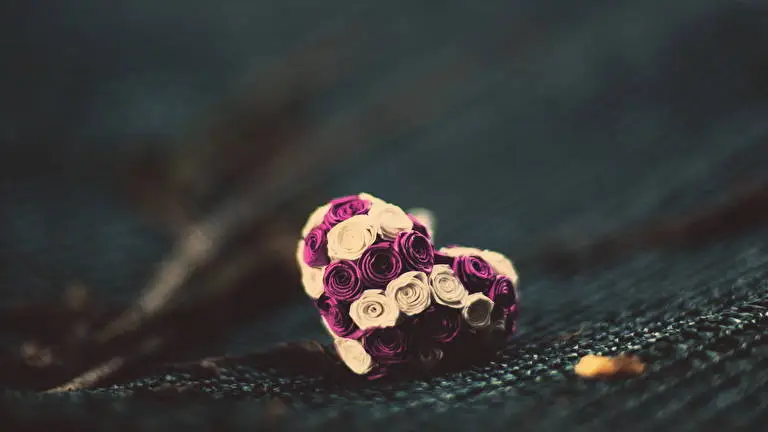 Gift theme for Windows 10 Slideshow image 4