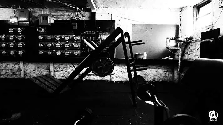 Spor Salonu Windows 10 için tema Slayt gösterisi görüntüsü 2