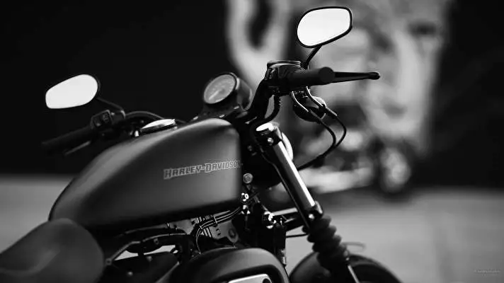 Harley Windows 10 için tema Slayt gösterisi görüntüsü 3