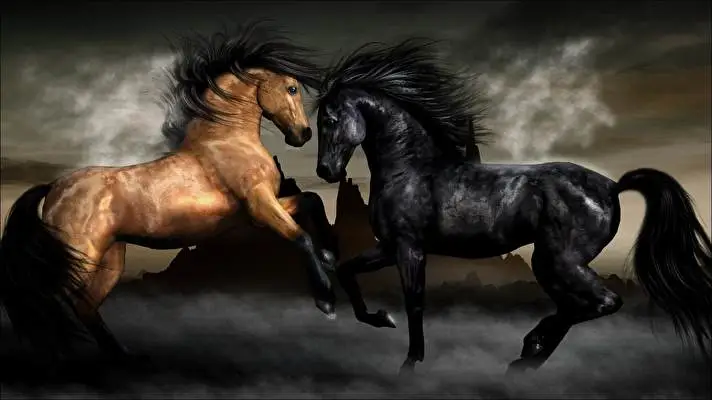 At Windows 10 için tema Slayt gösterisi görüntüsü 5