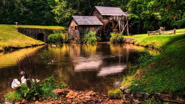 Дом в лесу тема для Windows 10 Изображение слайдшоу 4