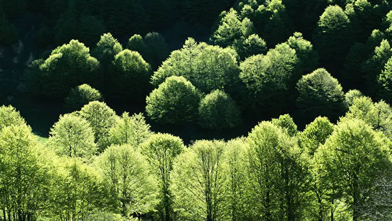 Italy theme for Windows 10 Slideshow image 2