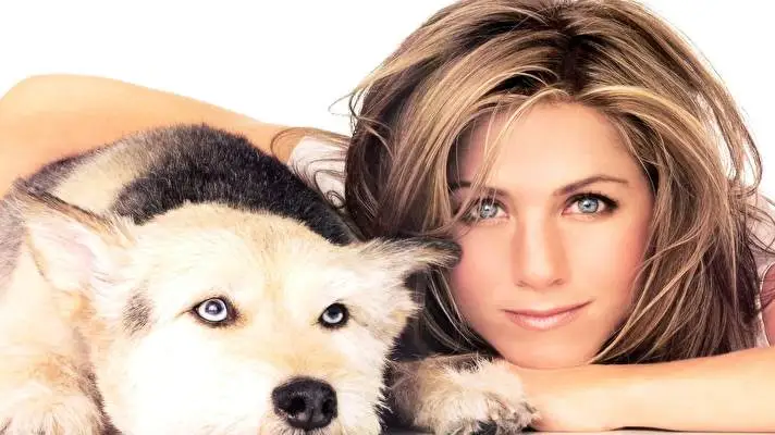 Дженнифер Энистон1 тема для Windows 10 Изображение слайдшоу 3