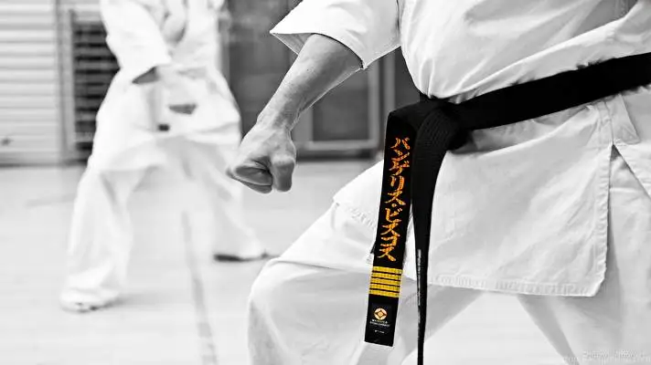 Karate theme for Windows 10 Slideshow image 3