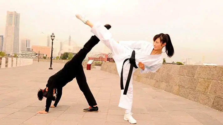 Karate theme for Windows 10 Slideshow image 4