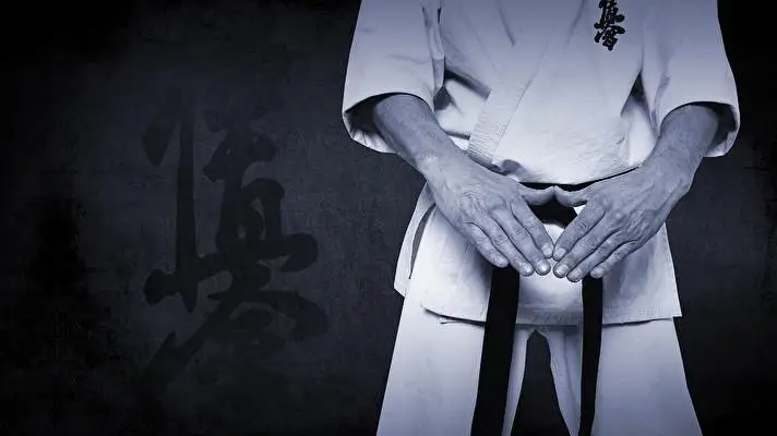 Karate theme for Windows 10 Slideshow image 5